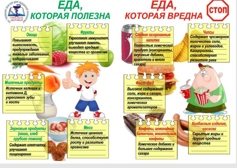 Информация об условиях питания обучающихся.